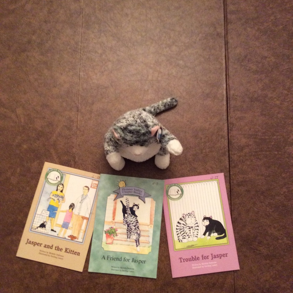Stuffed Jasper the cat & 3 first grade books.